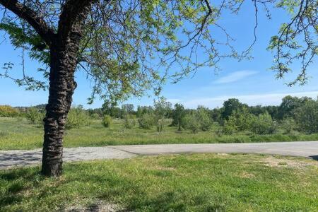 Country Charmer Single Story Cottage Pet Friendly Loomis Esterno foto